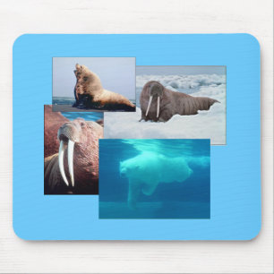 Walrus, Polar Beer, Zee Lion Bull Mousepad Muismat