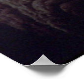 Walrus Poster (Hoek)