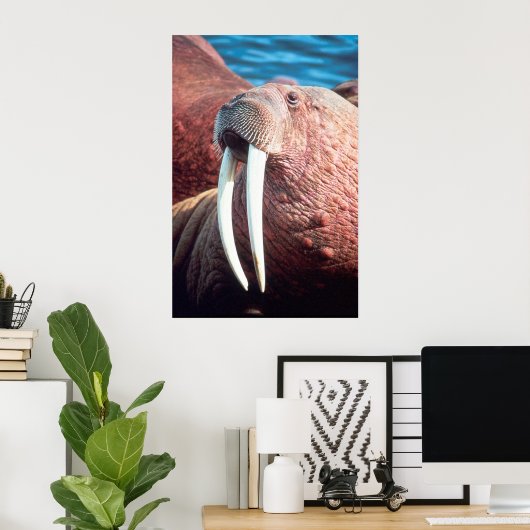 Walrus Poster (Thuiskantoor)