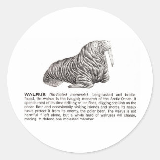 walrus ronde sticker