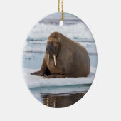 Walrus rust op ijs, Noorwegen Keramisch Ornament (Rechts)
