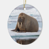 Walrus rust op ijs, Noorwegen Keramisch Ornament (Links)