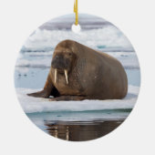 Walrus rustend op ijs, Noorwegen Keramisch Ornament (Achterkant)