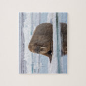 Walrus rustend op ijs, Noorwegen Legpuzzel (Verticaal)