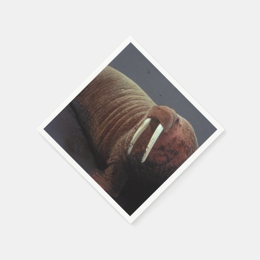 Walrus Servetten (Hoek)