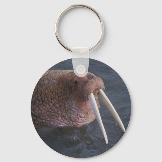 Walrus Sleutelhanger (Voorkant)