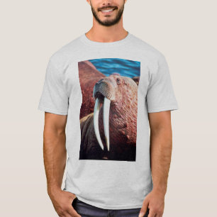 Walrus T-shirt