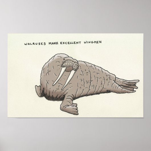 walrus trivia poster (Voorkant)