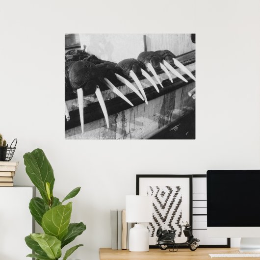 Walrus Tusks: 1931 Poster (Thuiskantoor)