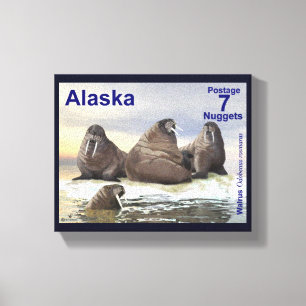 Walrus - Vier Broers - Alaska Postage Canvas Afdruk