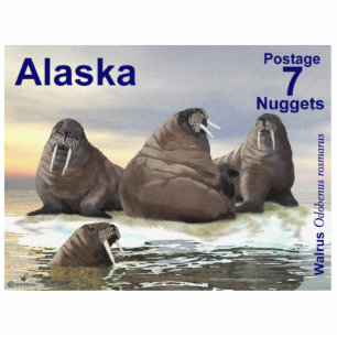 Walrus - Vier Broers - Alaska Postage Fotobeeldje Magneet