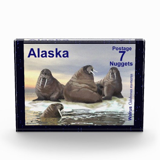 Walrus - Vier Broers - Alaska Postage Fotoblokken (Voorkant)