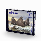 Walrus - Vier Broers - Alaska Postage Fotoblokken (Rechts)