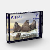 Walrus - Vier Broers - Alaska Postage Fotoblokken (Links)