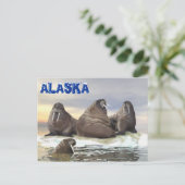 Walrus - Vier Broers Briefkaart (Staand voorkant)