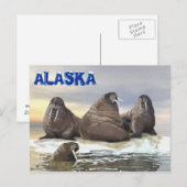 Walrus - Vier Broers Briefkaart (Voorkant / Achterkant)