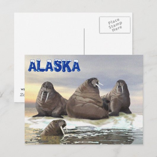 Walrus - Vier Broers Briefkaart (Voorkant / Achterkant)