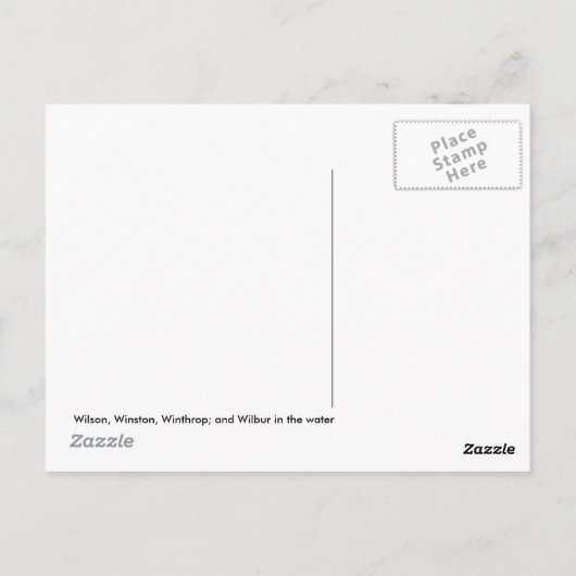 Walrus - Vier Broers Briefkaart (Achterkant)