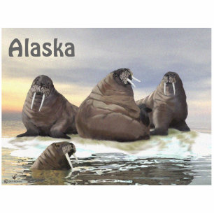 Walrus - Vier Broers Fotobeeldje Magneet