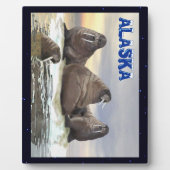 Walrus - Vier Broers Fotoplaat (Voorkant)