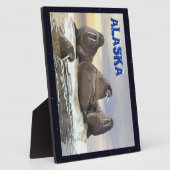 Walrus - Vier Broers Fotoplaat (Zijkant)