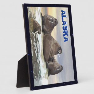 Walrus - Vier Broers Fotoplaat