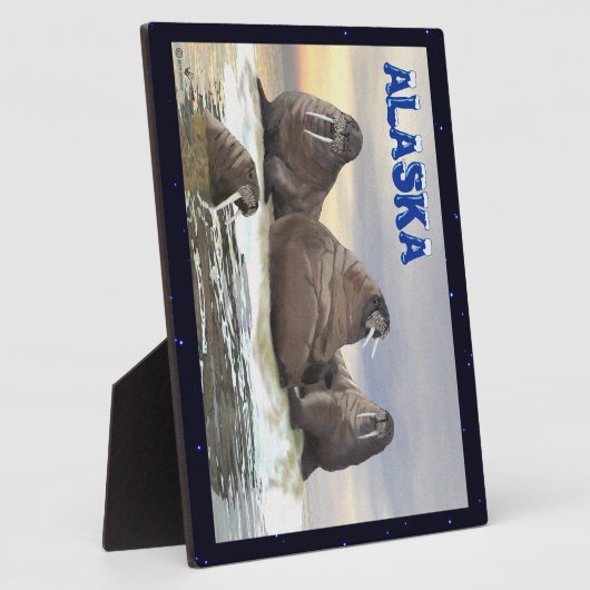 Walrus - Vier Broers Fotoplaat (Zijkant)