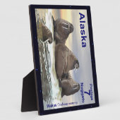 Walrus - Vier Broers Fotoplaat (Zijkant)