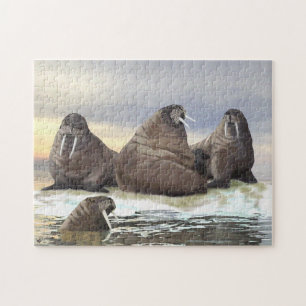 Walrus - Vier Broers Legpuzzel