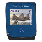 Walrus - Vier Broers Rugtassen (Voorkant)