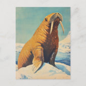 Walrus-vintage Briefkaart (Voorkant)