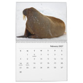 Walrus Wall Agenda Kalender (Feb 2027)