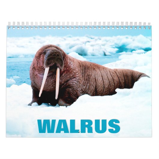 Walrus Wall Agenda Kalender (Hoes)
