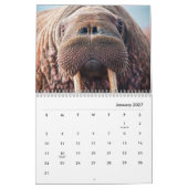 Walrus Wall Agenda Kalender (Jan 2027)