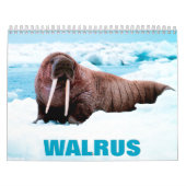 Walrus Wall Agenda Kalender (Hoes)