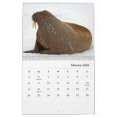Walrus Wall Agenda Kalender (Feb 2026)
