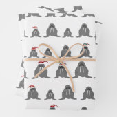 Walrus Wrapping Paper Sheets (In situ)