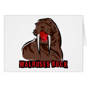 Walruses Rock