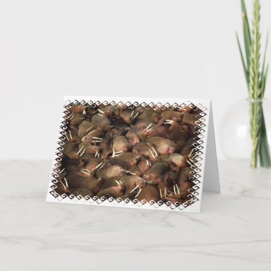 Walruses Wenskaart Kaart (Voorkant)