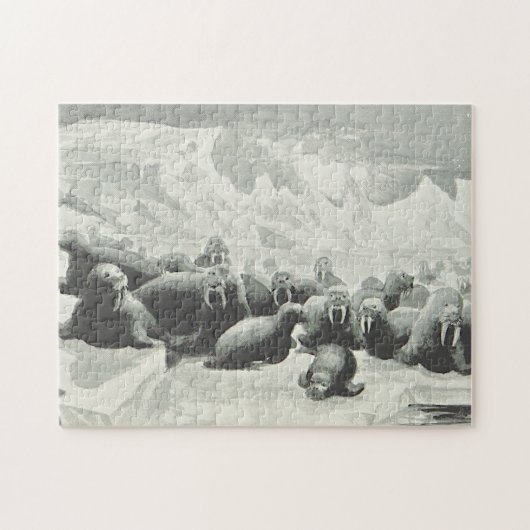 Walruskudde Legpuzzel met Vintage Look (Horizontaal)