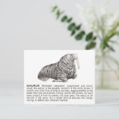 walrussen briefkaart (Staand voorkant)