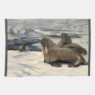 Walrussen in de Arctische Sneeuw, Antiek Marien Di Theedoek