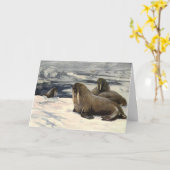  walrussen in de Arctische sneeuw van CE Swan Kaart (Gele Bloem)