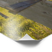 Walsdraad opgerold op fencerow nabij foto afdruk (Hoek)