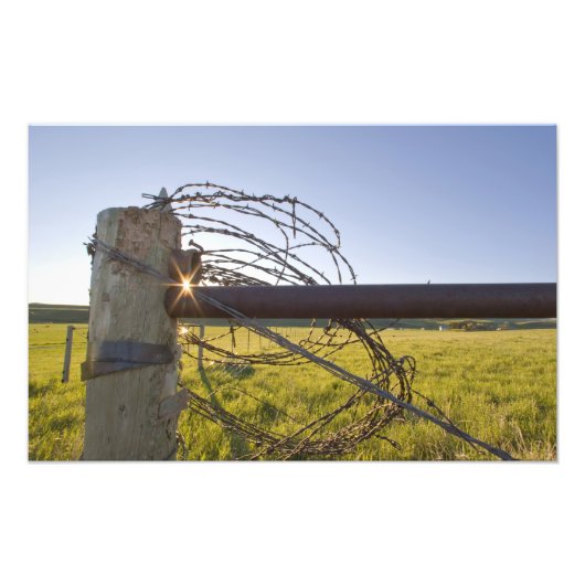 Walsdraad opgerold op fencerow nabij foto afdruk (Voorkant)