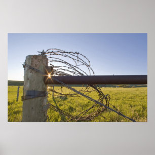 Walsdraad opgerold op fencerow nabij poster