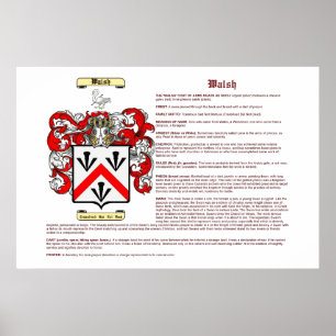 Walsh (betekenis) poster