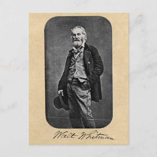 Walt Whitman Age 41 Portret Briefkaart (Voorkant)