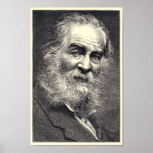 Walt Whitman Engraving, leeftijd 52 Poster