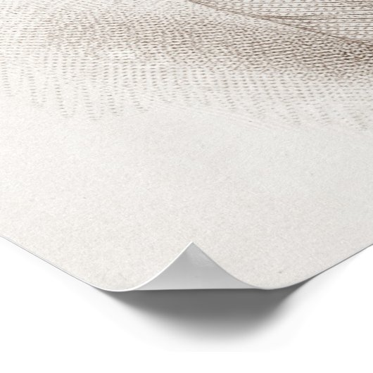 Walt Whitman Engraving Poster (Hoek)